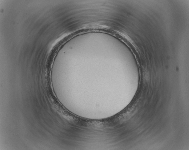 X0000076380971200610271524