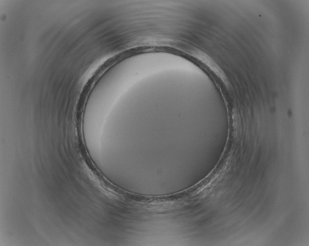 X0000076380972200610271524