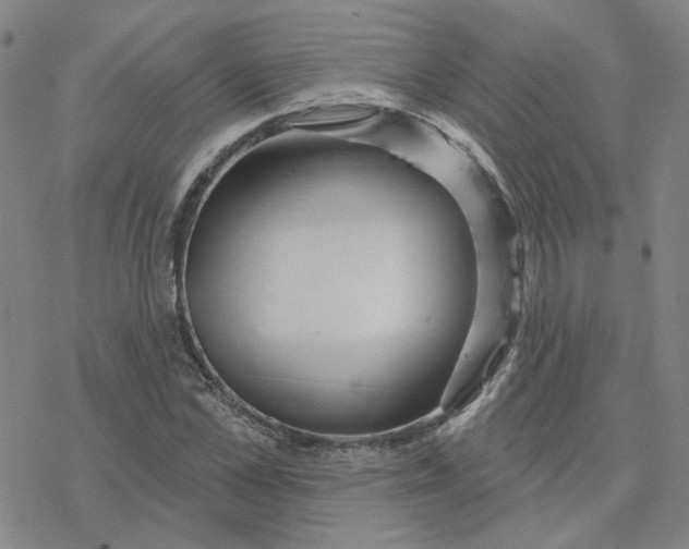 X0000076380973200610271524