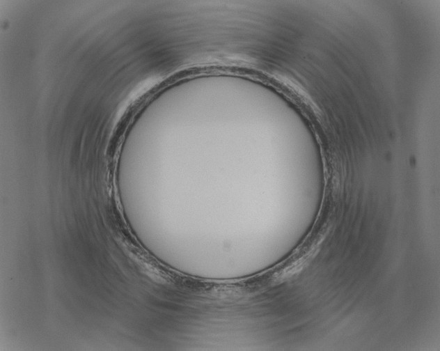 X0000076380974200610271524