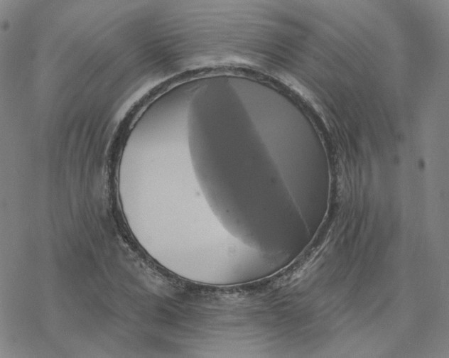 X0000076380975200610271524