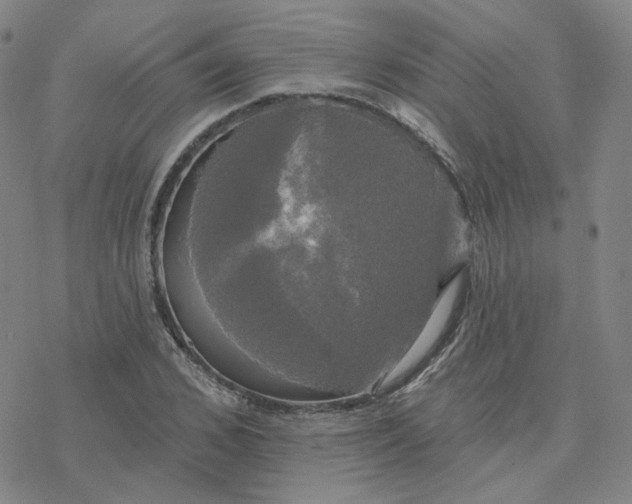 X0000076380976200610271524