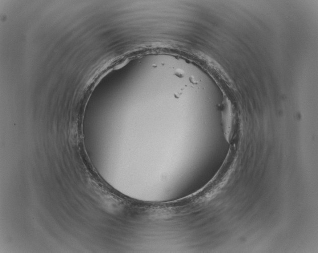 X0000076380977200610271524