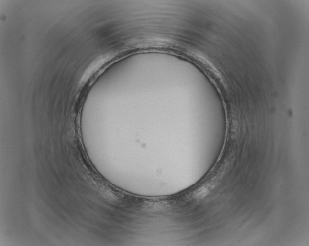 X0000076380978200610271524