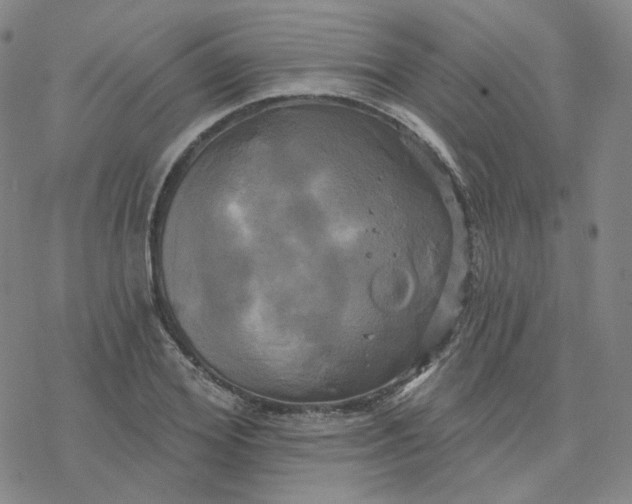 X0000076380980200610271523