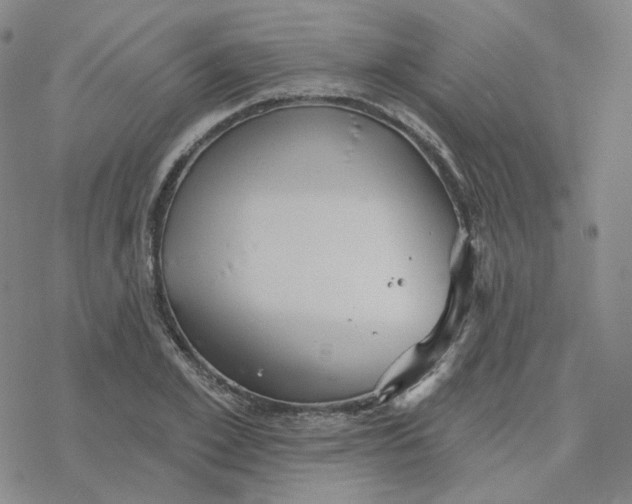 X0000076380981200610271523