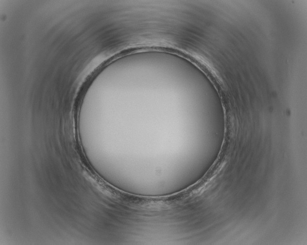 X0000076380982200610271523