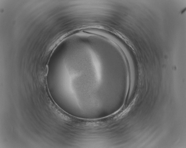 X0000076380985200610271523