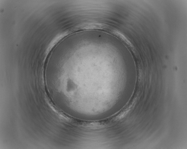 X0000076380986200610271523