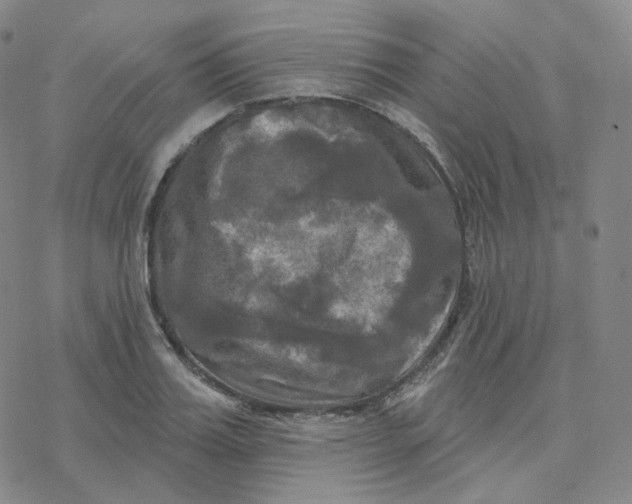 X0000076380987200610271523