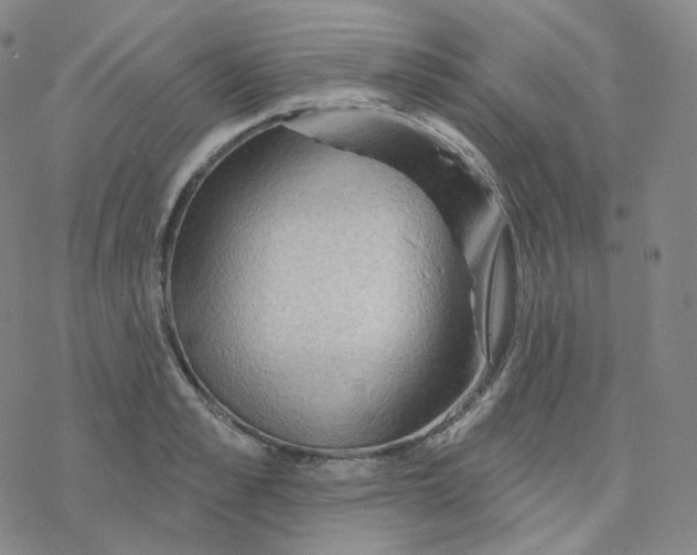 X0000076380989200610271523