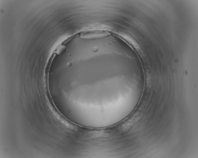 X0000076380990200610271523