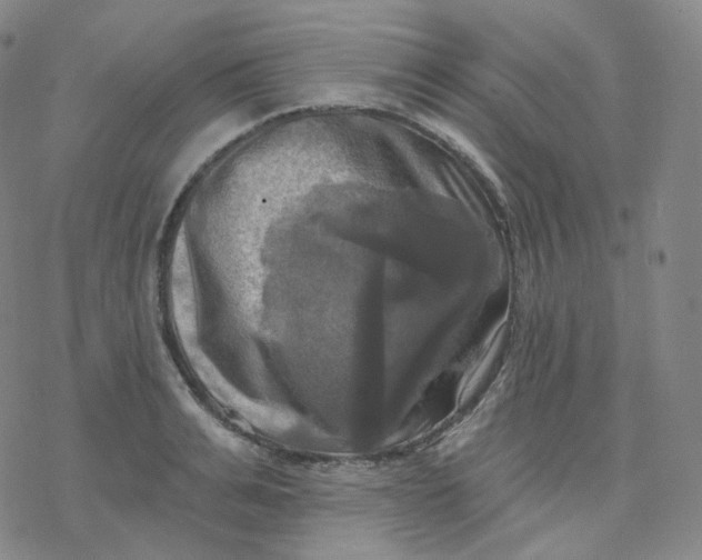 X0000076380991200610271523