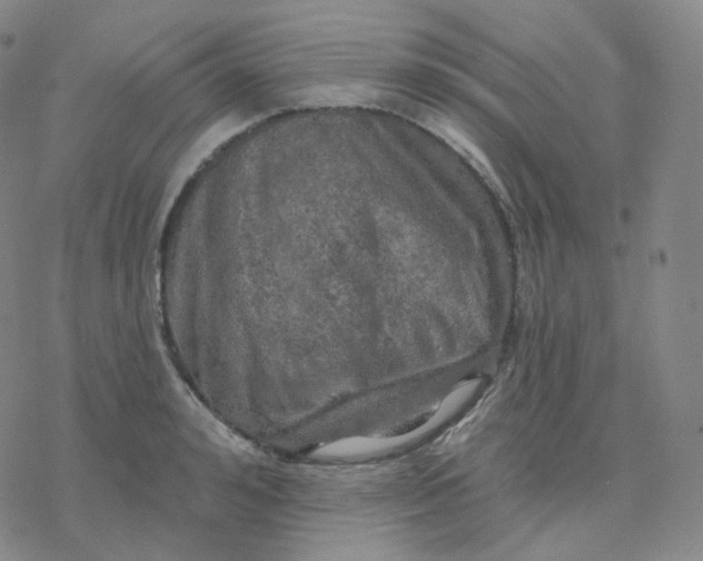 X0000076380992200610271523