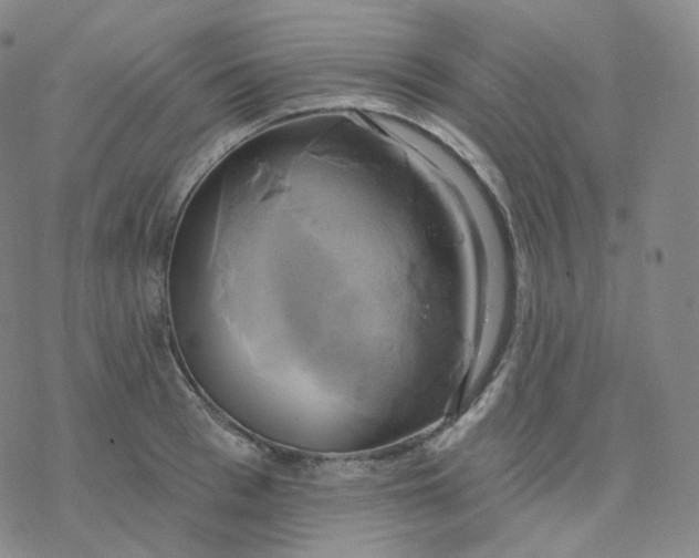 X0000076380993200610271523