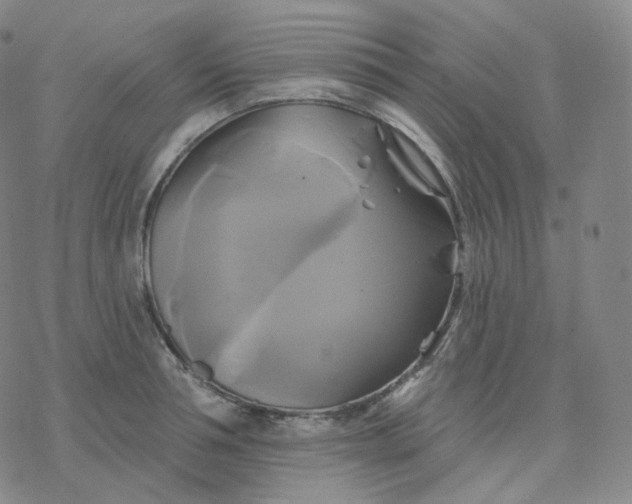 X0000076380994200610271523