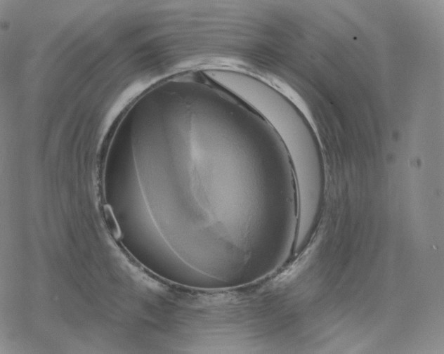 X0000076380997200610271523