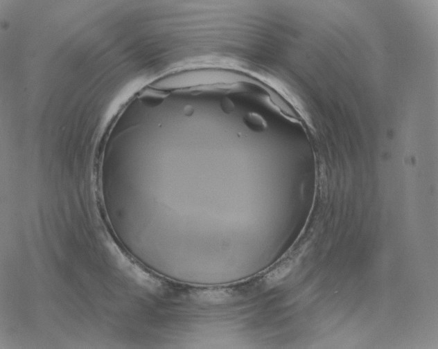 X0000076380998200610271523