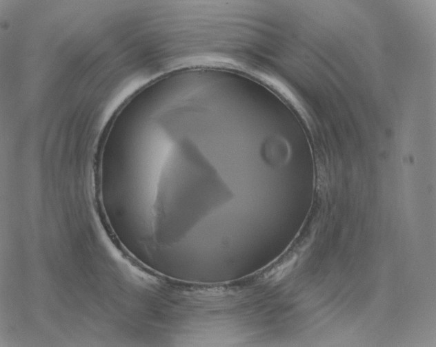 X0000076380999200610271523