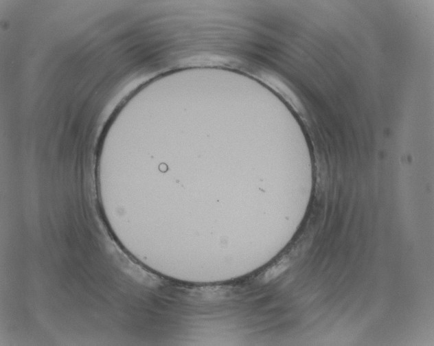 X0000076381000200610271523