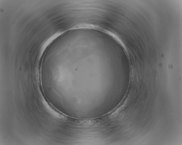 X0000076381003200610271523