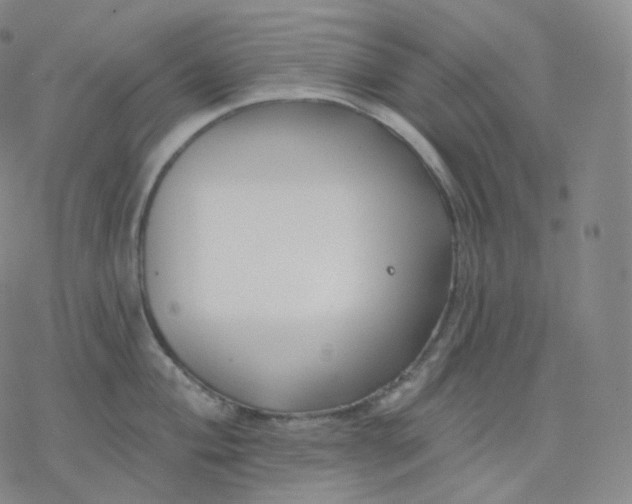 X0000076381004200610271523