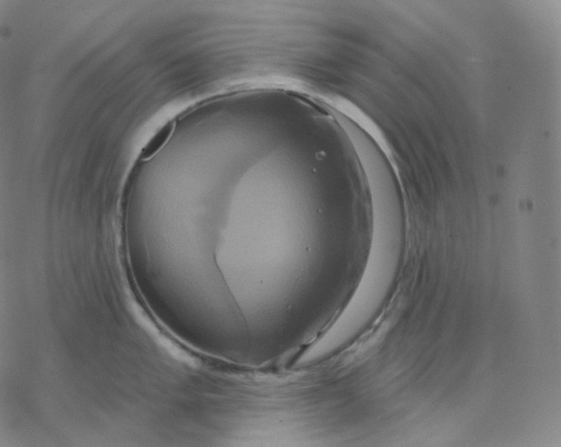 X0000076381005200610271523