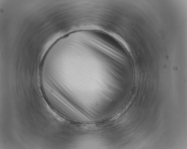 X0000076381006200610271523