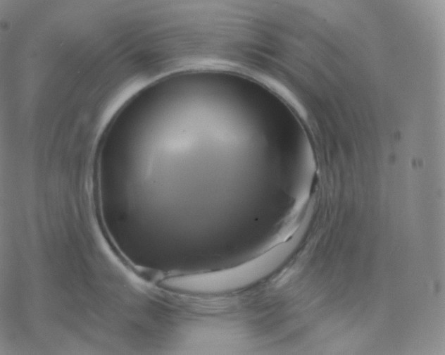 X0000076381007200610271523