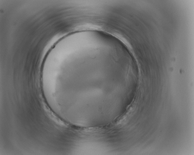 X0000076381008200610271523