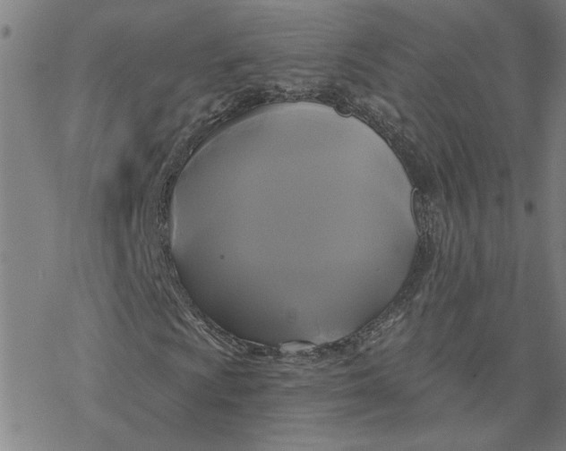 X0000076381009200610271522