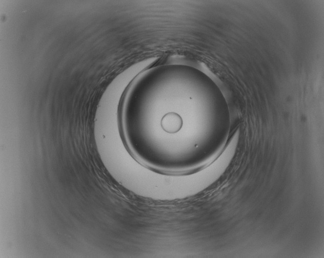 X0000076381010200610271522