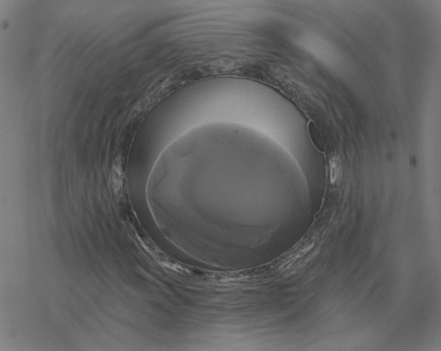 X0000076381011200610271522