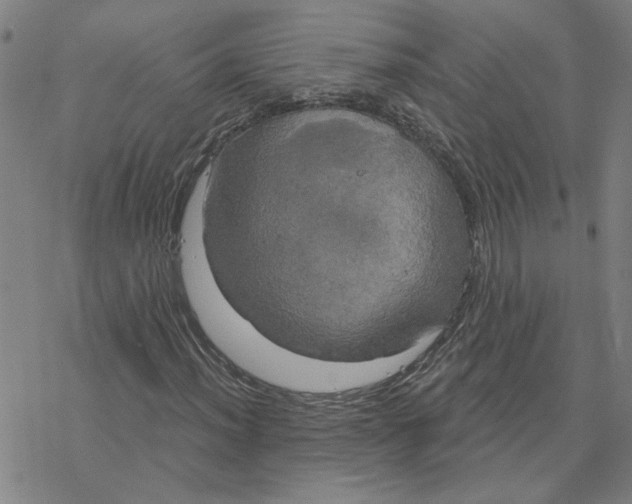 X0000076381012200610271522