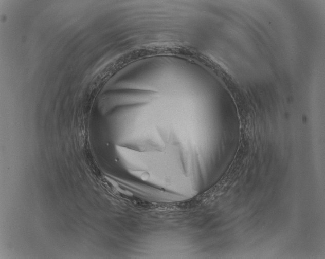 X0000076381015200610271522