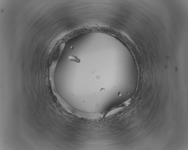 X0000076381016200610271522