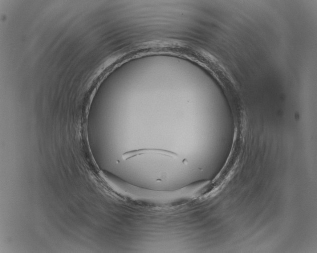 X0000076381017200610271522