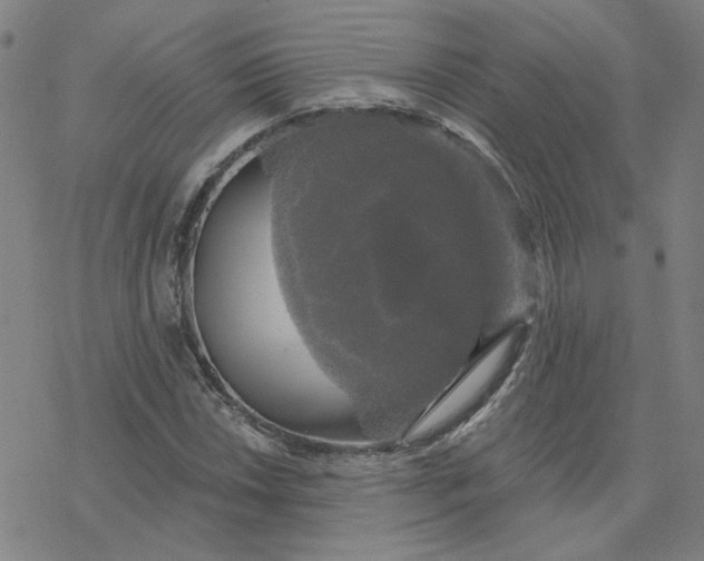 X0000076381018200610271522