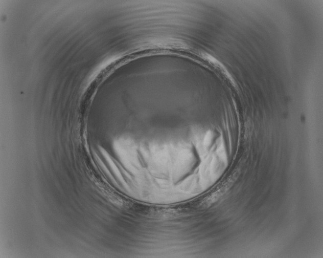 X0000076381019200610271522