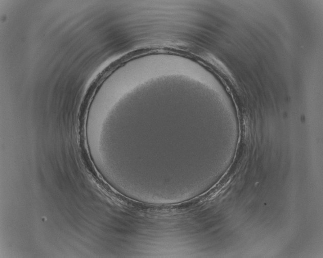 X0000076381020200610271522