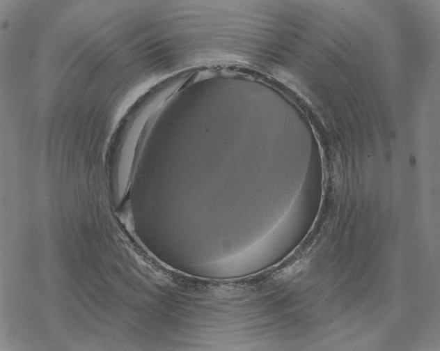 X0000076381022200610271522