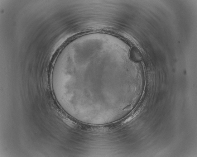 X0000076381023200610271522