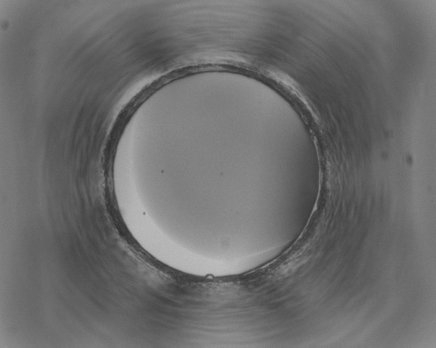 X0000076381024200610271522