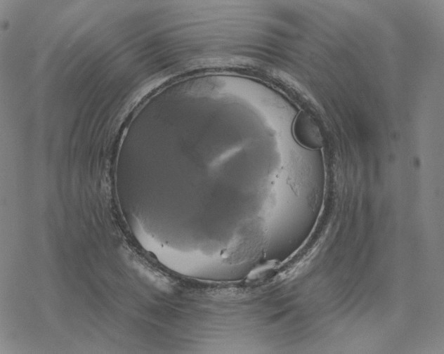 X0000076381025200610271522