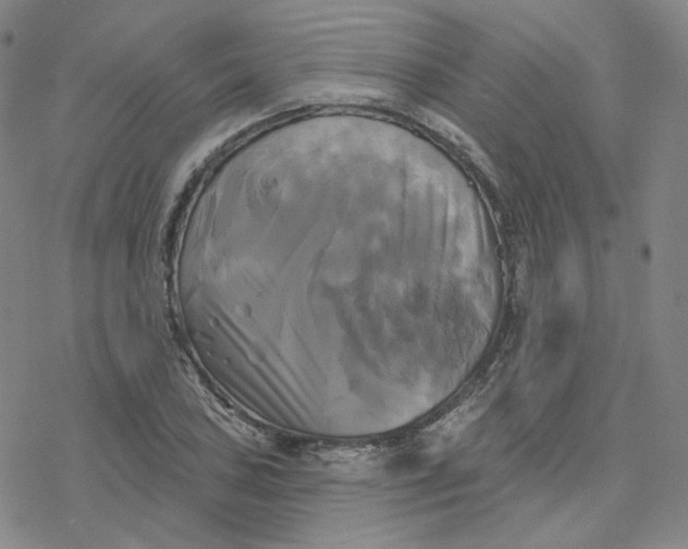 X0000076381027200610271523