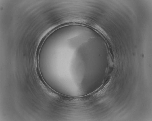 X0000076381028200610271523