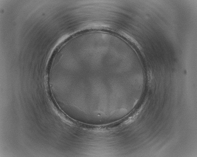 X0000076381029200610271523