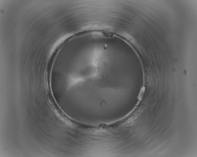 X0000076381030200610271523