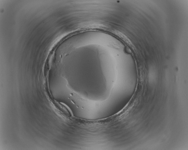 X0000076381031200610271523