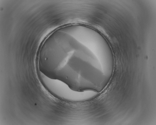 X0000076381032200610271523